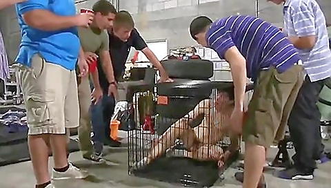 Newbies Must Learn To Serve